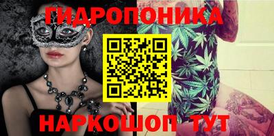 наркотики Кингисепп
