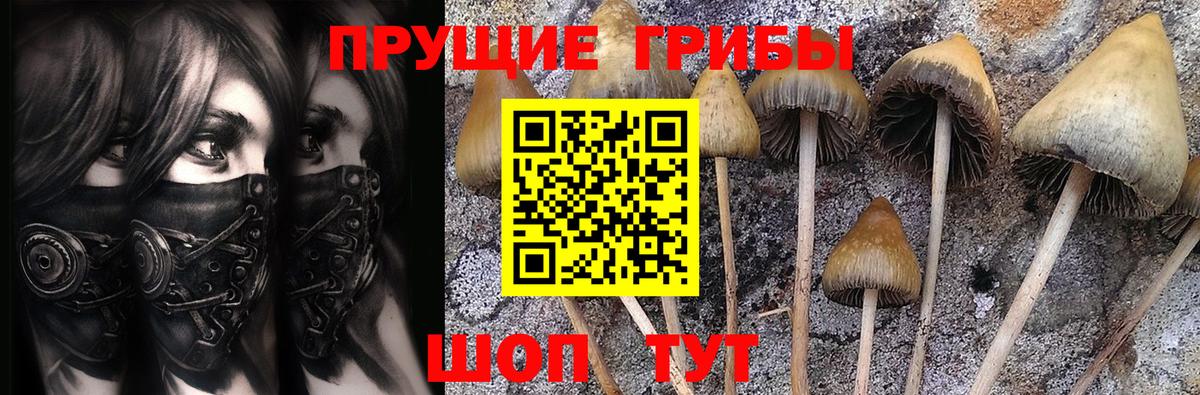 Псилоцибиновые грибы мухоморы Шахты