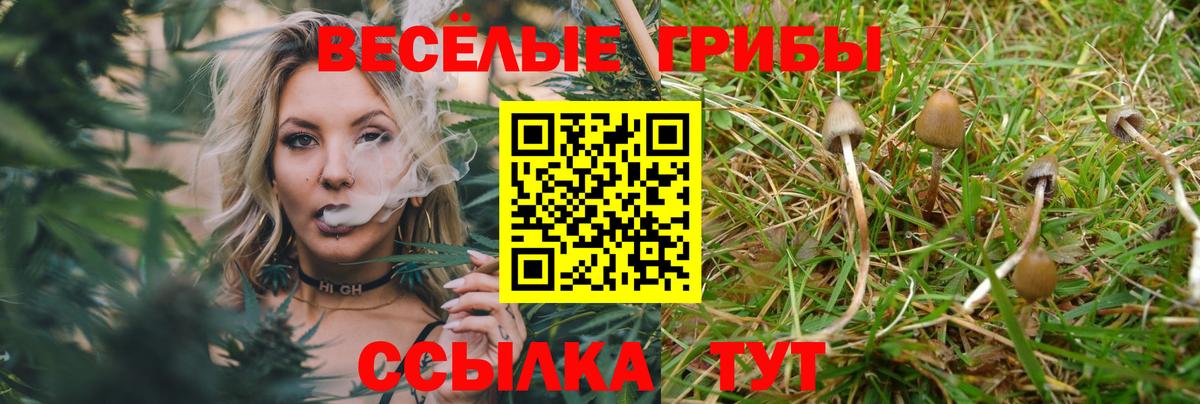 купить наркотик  Галлюциногенные грибы Psilocybe  Псилоцибиновые грибы Psilocybe  Вход с VPN  Шахты 